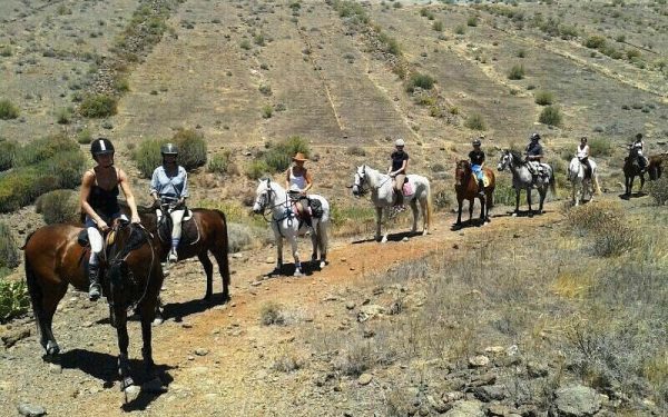 Horse Riding Gran Canaria - Image 3