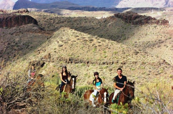 Horse Riding Gran Canaria - Image 2
