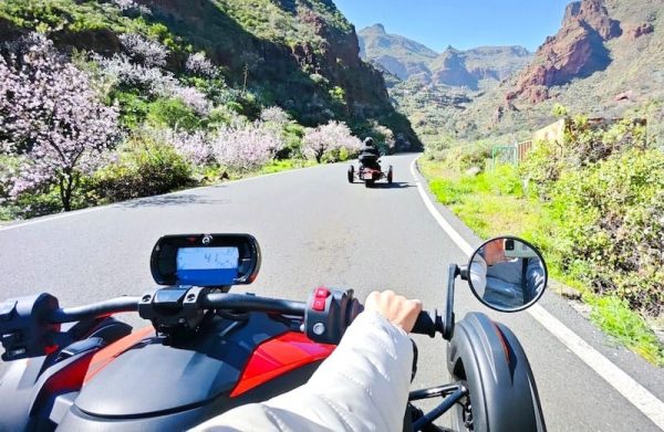 Can-am Ryker Gran Canaria - Image 5