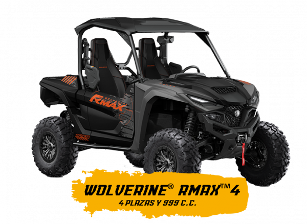 Buggy Yamaha Gran Canaria Mountain - Image 2