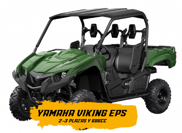 Buggy Yamaha Gran Canaria Mountain - Image 3