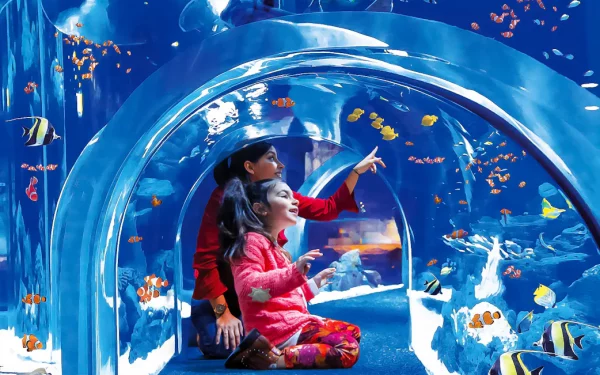 Poema del Mar Gran Canaria № 1 World Record Aquarium - Image 7