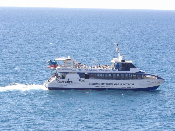 All-Inclusive 4 hour Boat tour Princesa Ico - Image 17