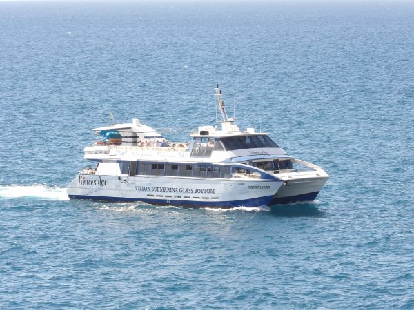 All-Inclusive 4 hour Boat tour Princesa Ico - Image 18
