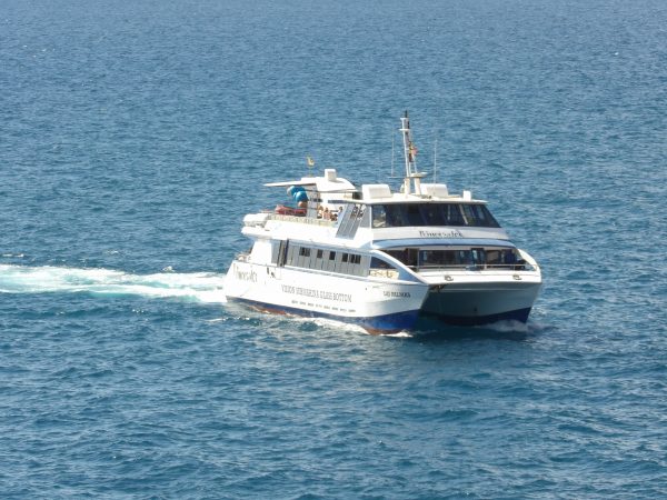 All-Inclusive 4 hour Boat tour Princesa Ico - Image 11