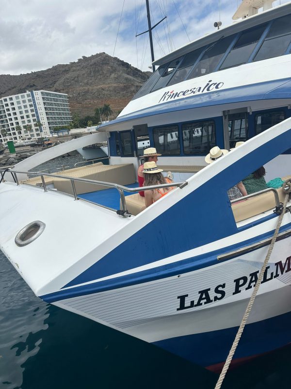 All-Inclusive 4 hour Boat tour Princesa Ico - Image 8
