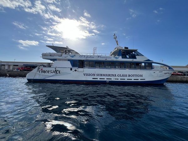All-Inclusive 4 hour Boat tour Princesa Ico - Image 20