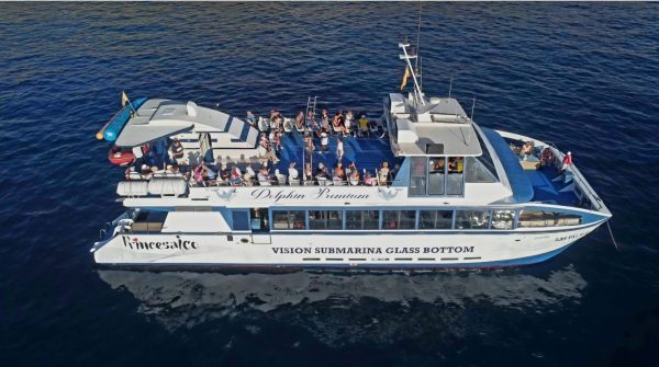 All-Inclusive 4 hour Boat tour Princesa Ico - Image 3